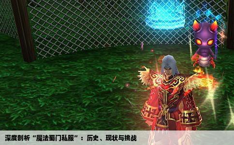 深度剖析“魔法蜀门私服”：历史、现状与挑战
