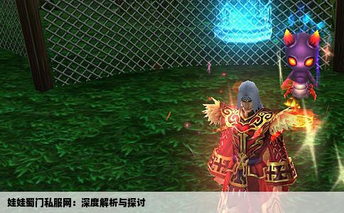 娃娃蜀门私服网：深度解析与探讨