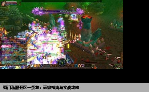 蜀门私服开区一条龙：玩家指南与实战攻略