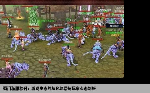 蜀门私服秒升：游戏生态的灰色地带与玩家心态剖析