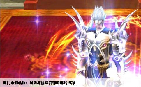 蜀门手游私服：风险与诱惑并存的游戏选择