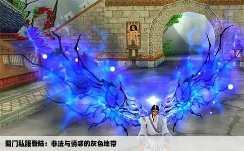 蜀门私服登陆：非法与诱惑的灰色地带