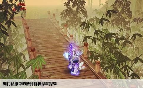 蜀门私服中的法师群体深度探究